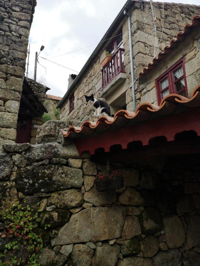 Casas Na Terra Villa Seia Buitenkant foto
